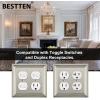 image2 Pack BESTTEN Satin Nickel Zinc Alloy 2 Gang Duplex Wall Plate Grand Collection Decorative Metal Receptacle Outlet CoverSatin Nickel
