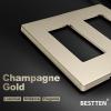 image2Gang Champagne Gold Screwless Wall Plate