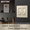 image2Gang Champagne Gold Screwless Wall Plate